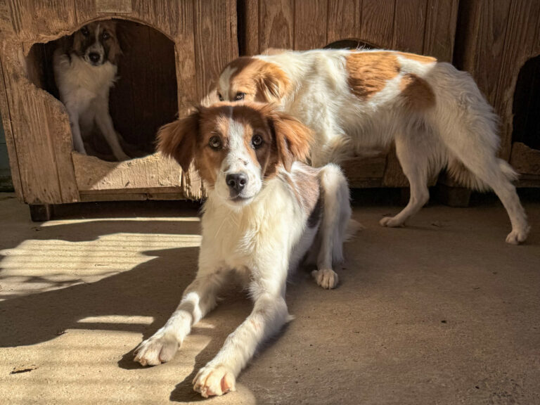 20251004-fotos-friedrich-4