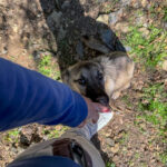 20251004-fotos-josephine-1