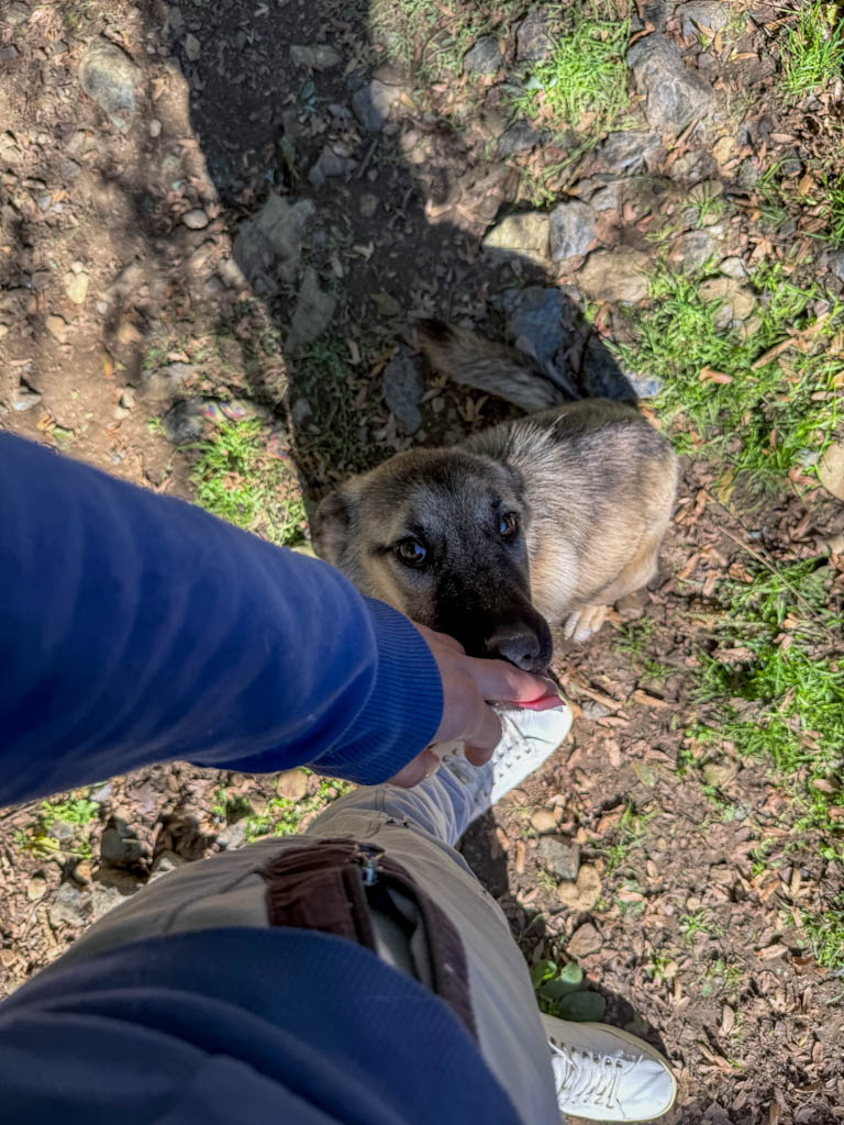 20251004-fotos-josephine-1