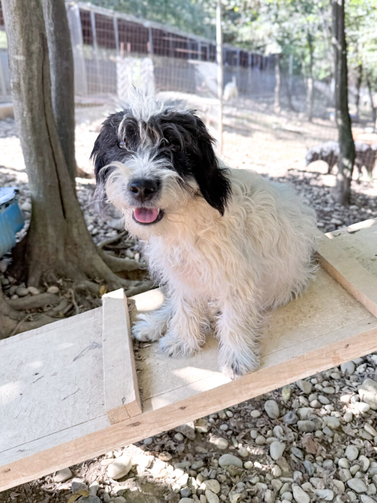 20251004-fotos-kelvin-1