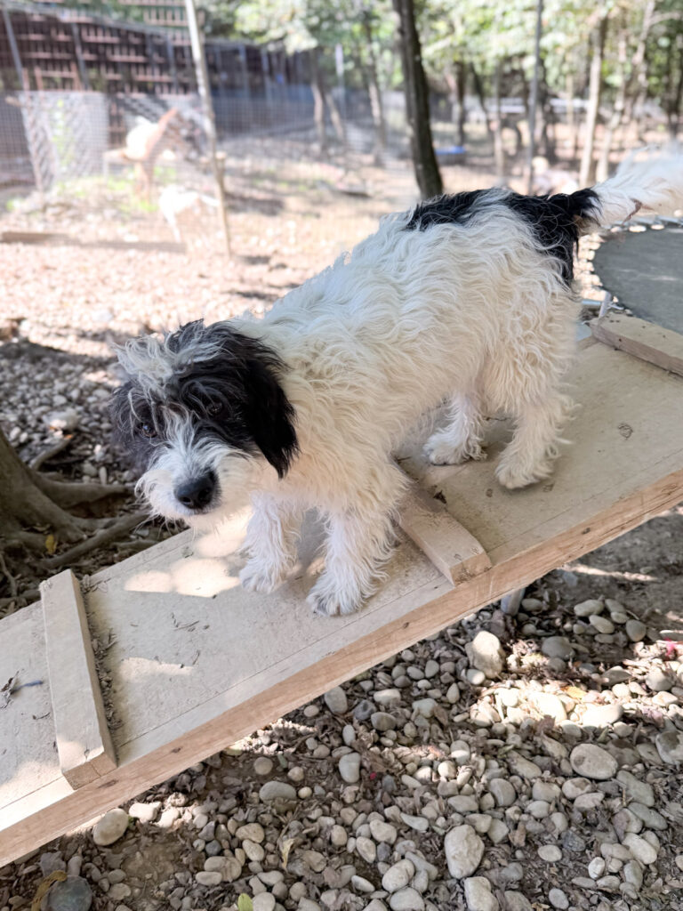 20251004-fotos-kelvin-2