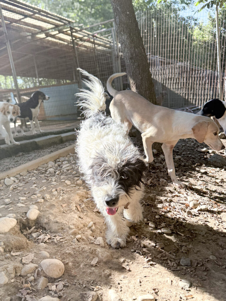 20251004-fotos-kelvin-3