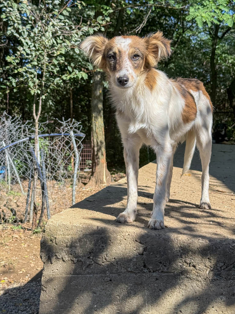 20251004-fotos-liane-05