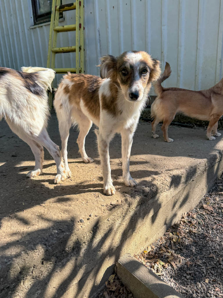 20251004-fotos-liane-07