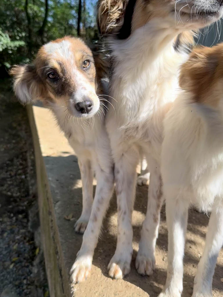 20251004-fotos-liane-08