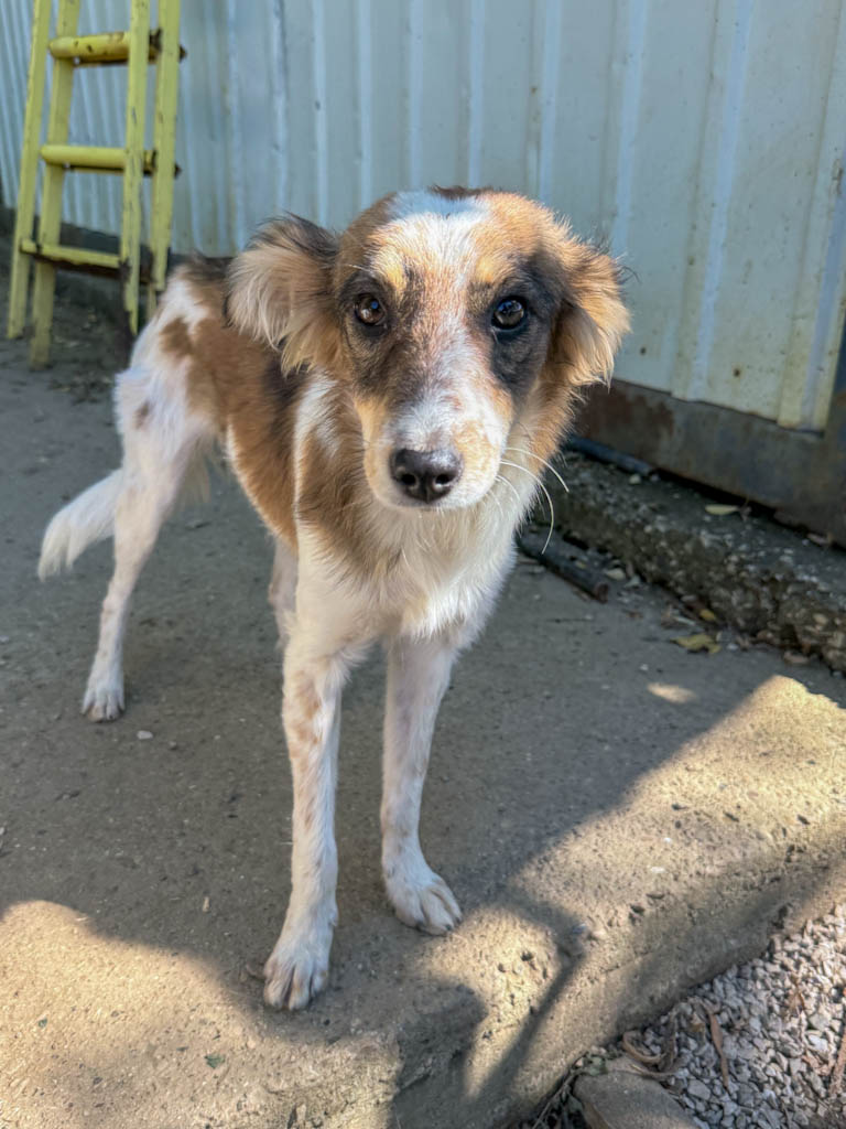 20251004-fotos-liane-09