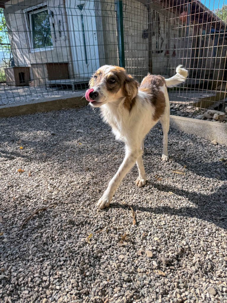 20251004-fotos-liane-10