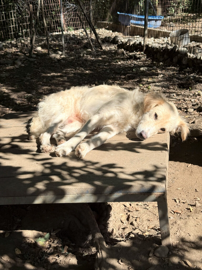 20251004-fotos-maxim-1