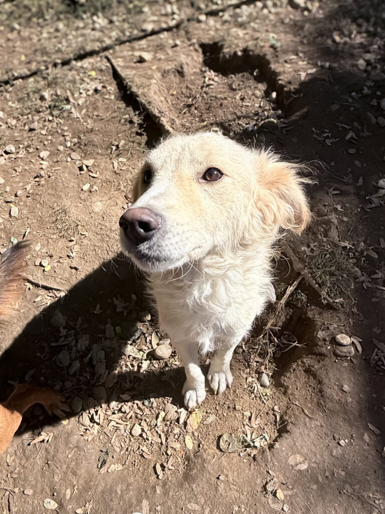 20251004-fotos-maxim-4