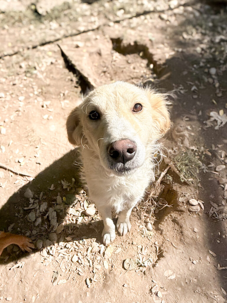 20251004-fotos-maxim-5