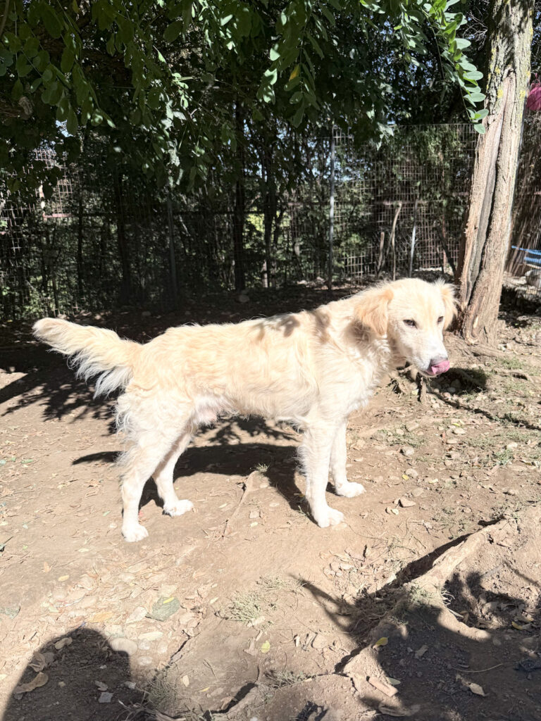 20251004-fotos-maxim-6