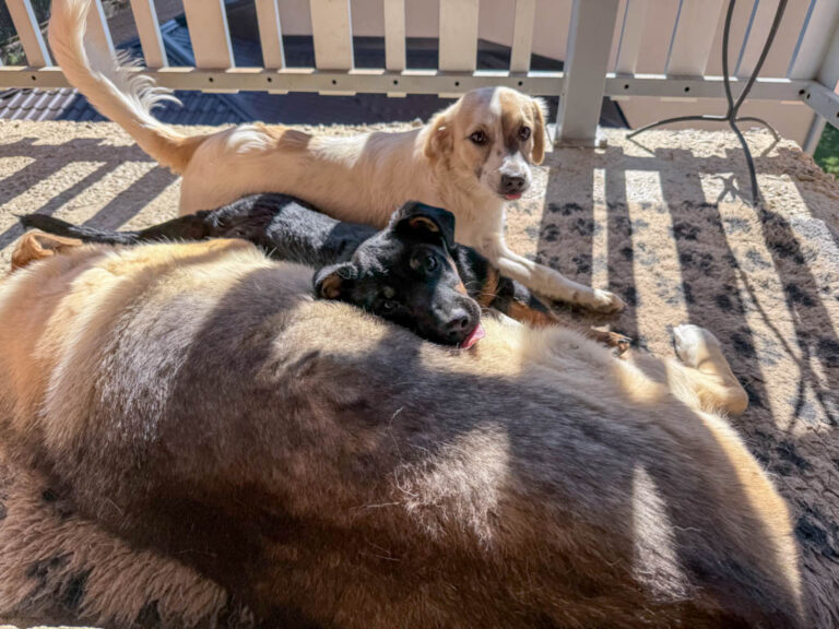 20251004-fotos-nastya-4