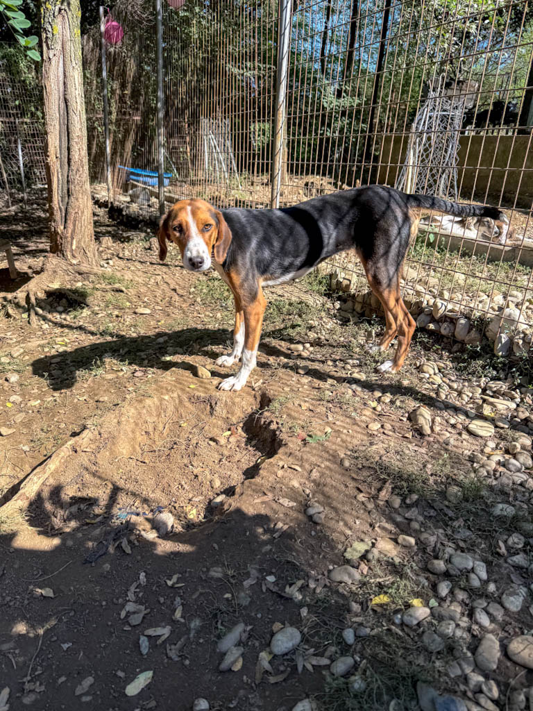 20251004-fotos-ofelia-1