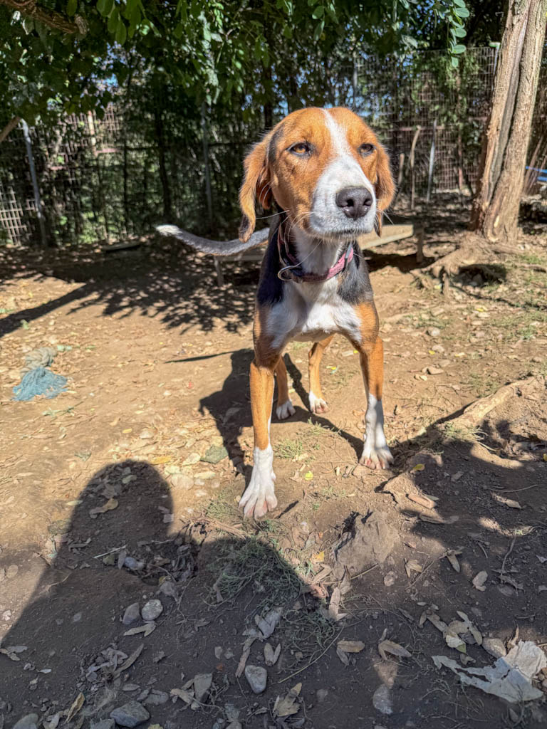 20251004-fotos-ofelia-3