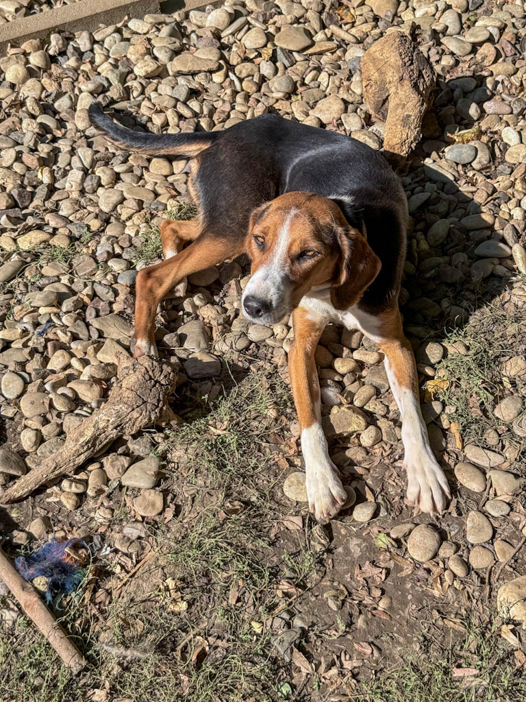 20251004-fotos-ofelia-4