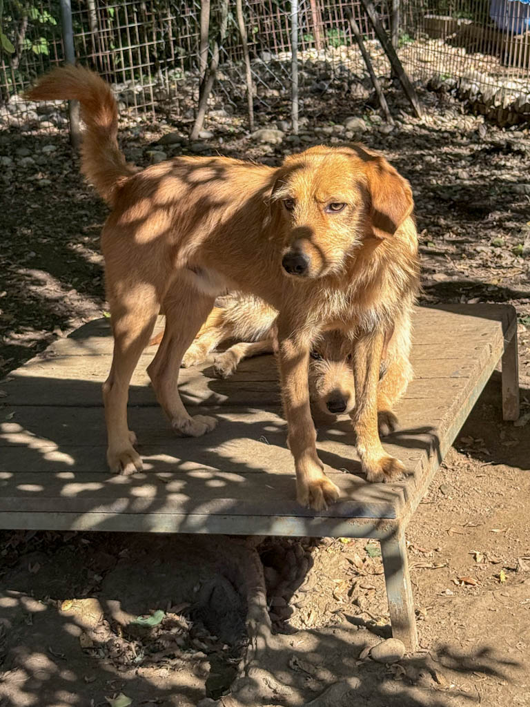 20251004-fotos-oliver-1