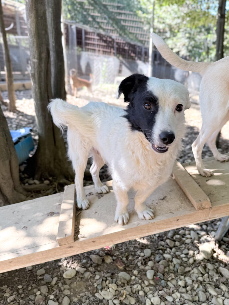 20251004-fotos-pupin-1