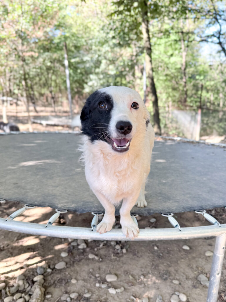 20251004-fotos-pupin-2