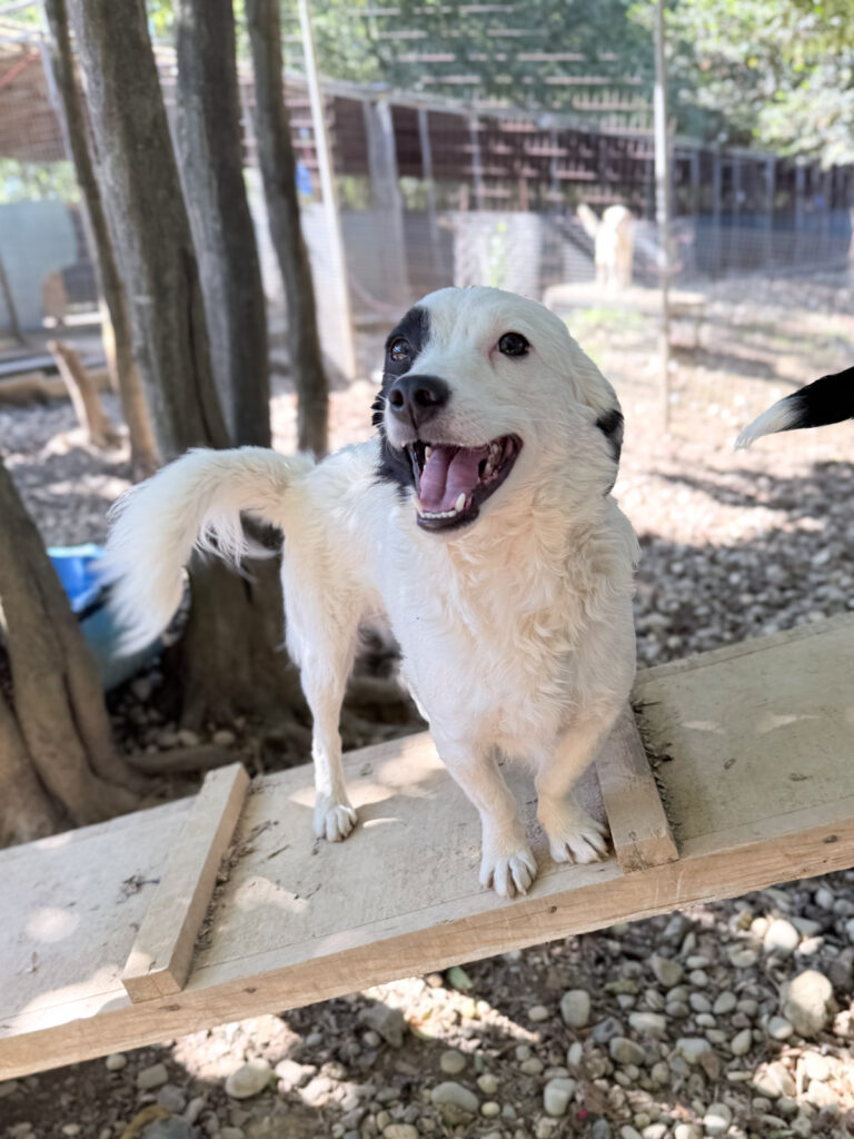 20251004-fotos-pupin-4