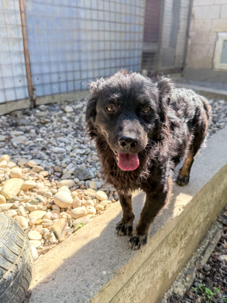 20251004-fotos-ralf-2