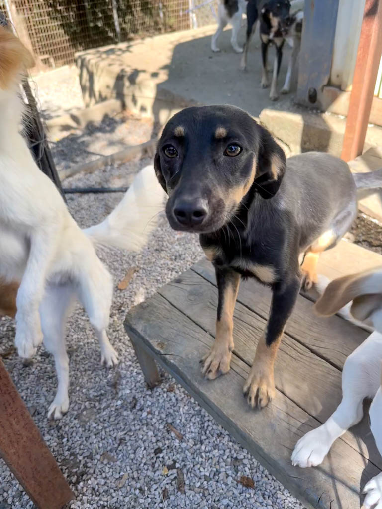 20251004-fotos-smilla-01