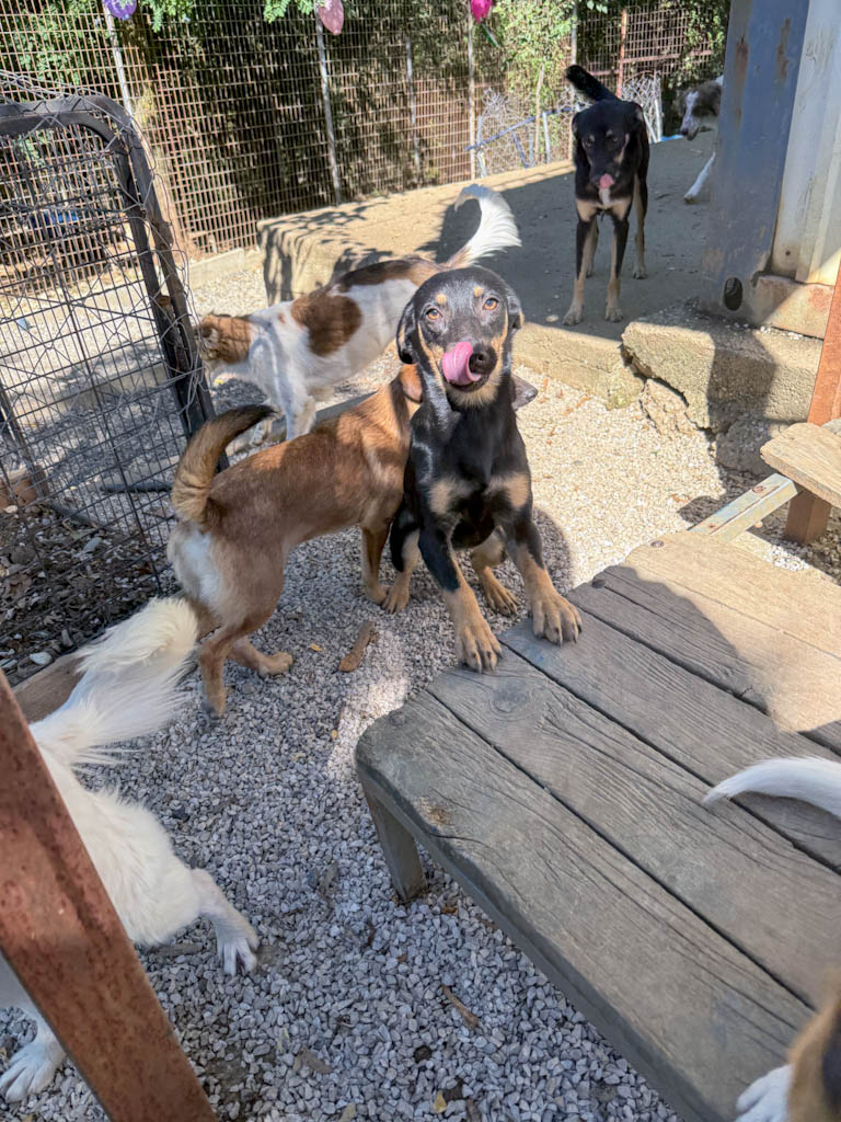 20251004-fotos-smilla-02