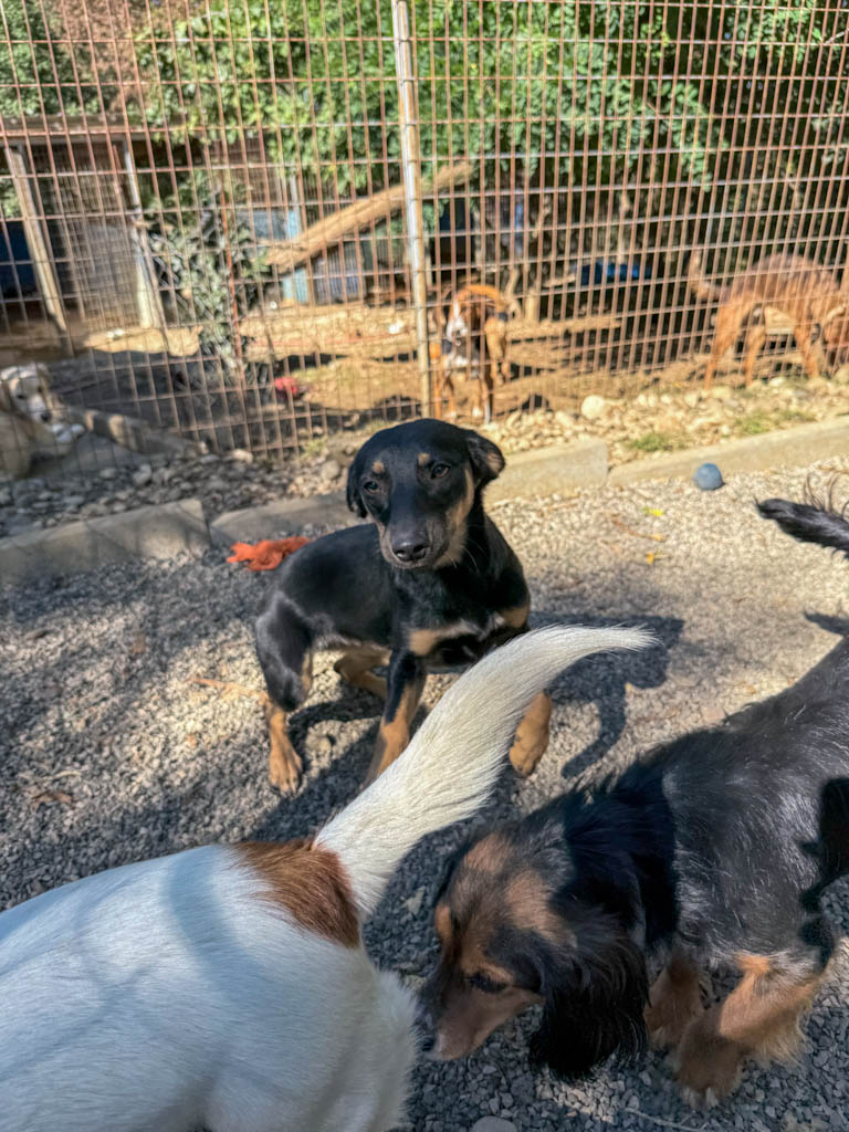 20251004-fotos-smilla-03