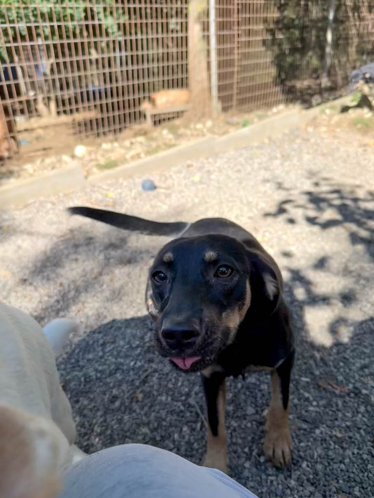 20251004-fotos-smilla-04