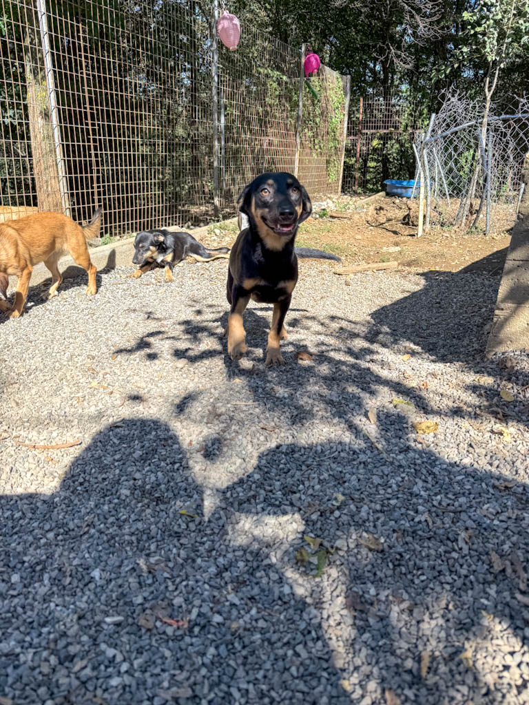 20251004-fotos-smilla-05