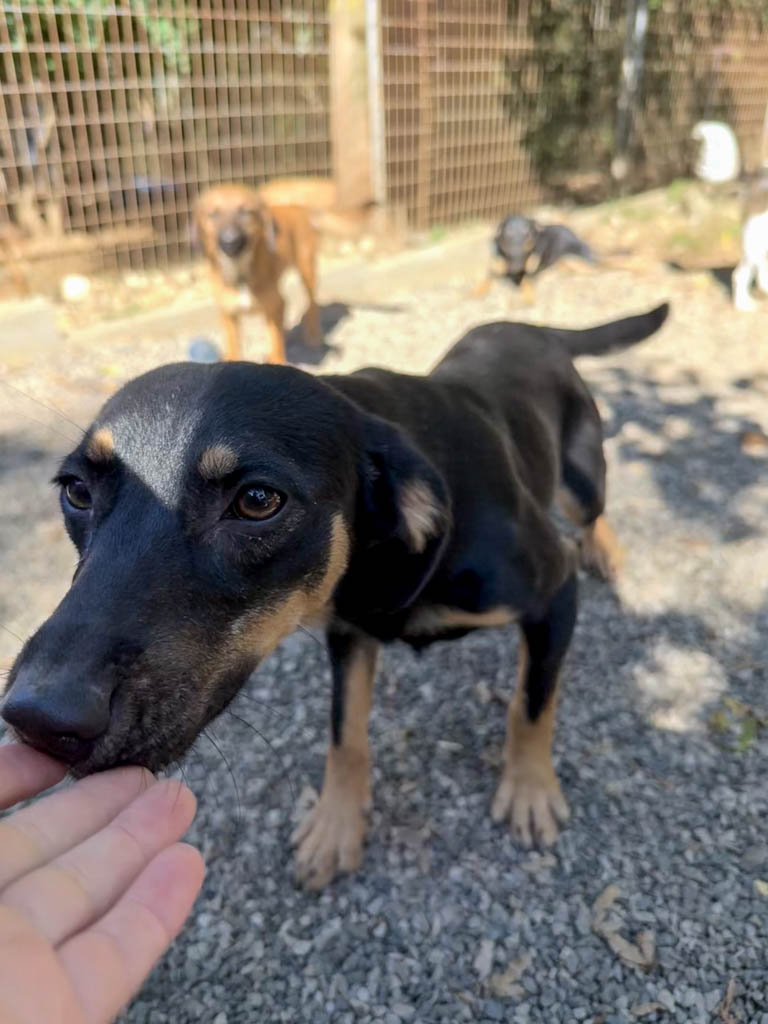 20251004-fotos-smilla-06