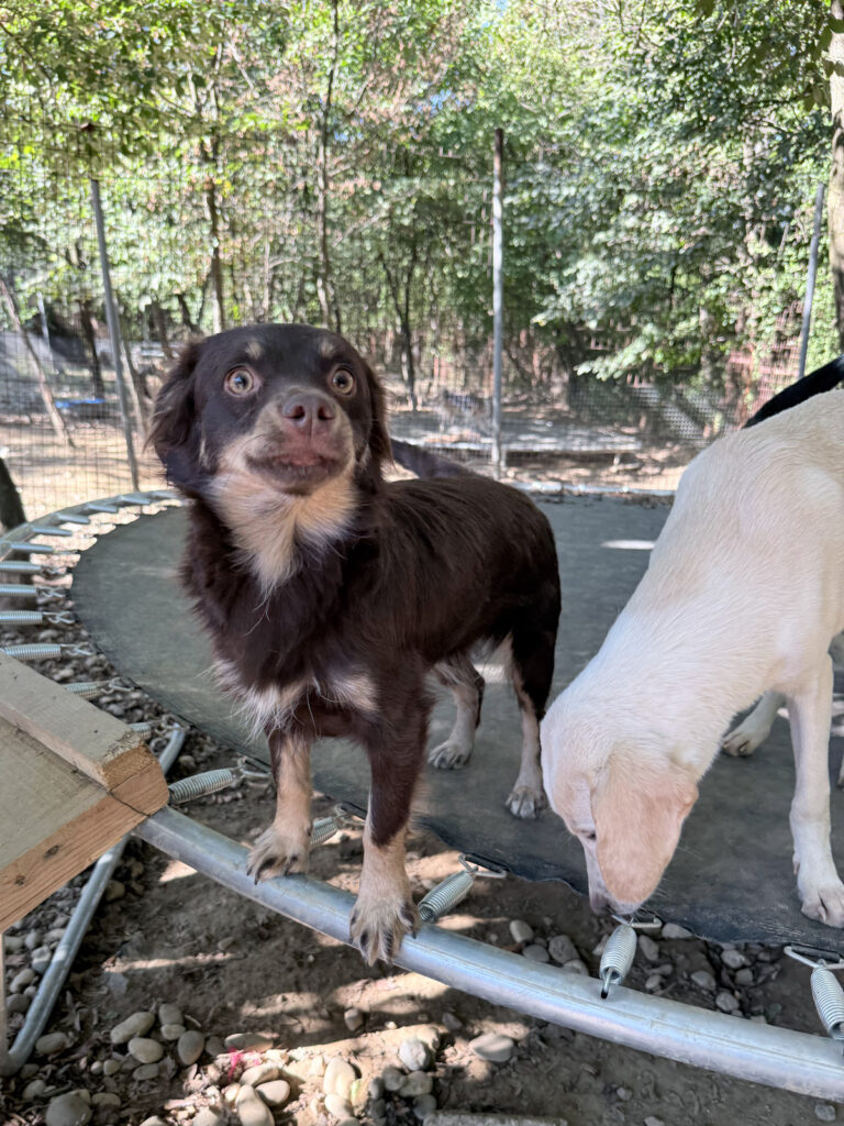 20251004-fotos-sunset-2