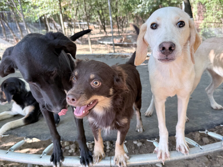 20251004-fotos-sunset-4