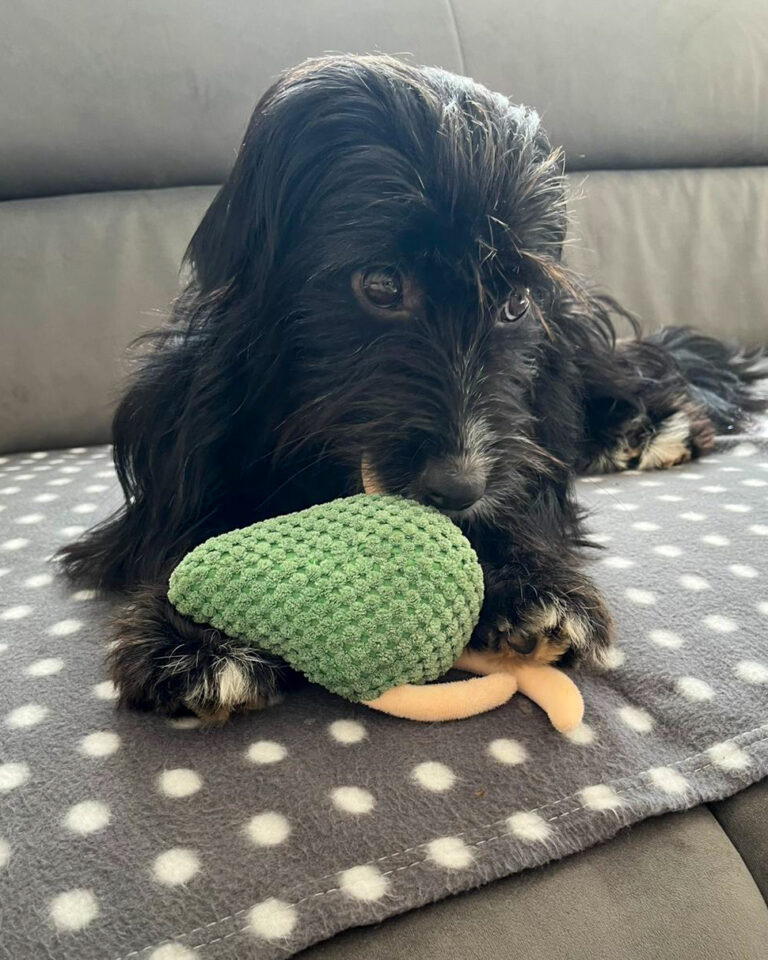 20251010-news-tesla-04