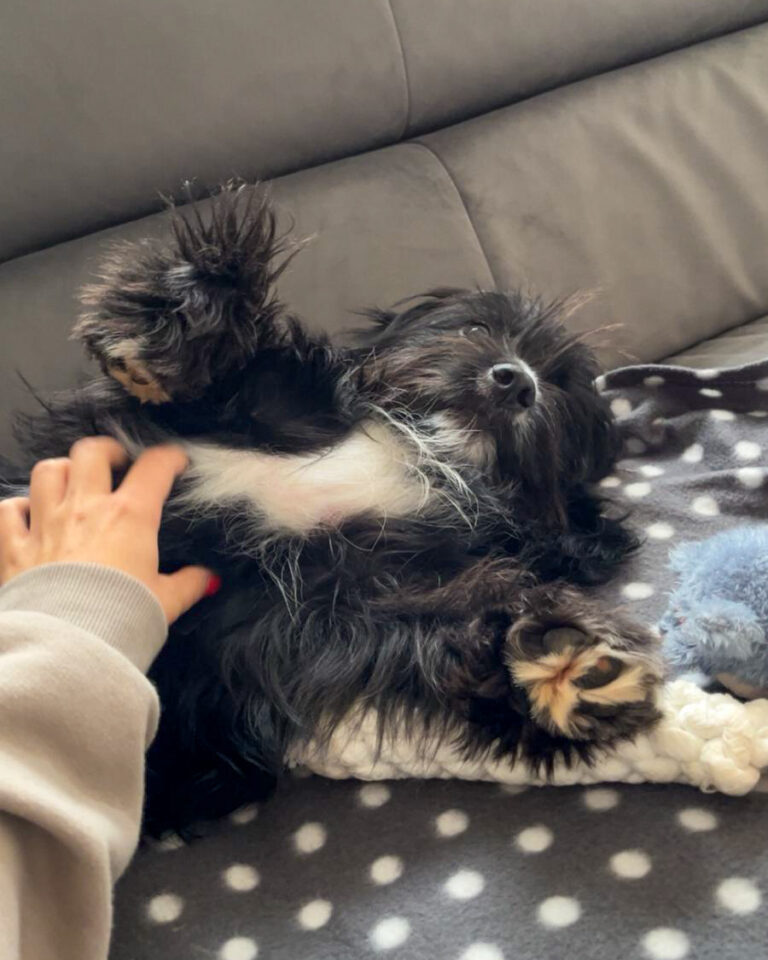 20251010-news-tesla-05