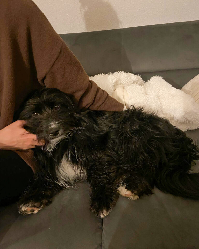 20251010-news-tesla-10