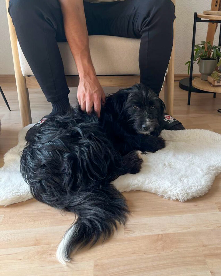 20251010-news-tesla-11