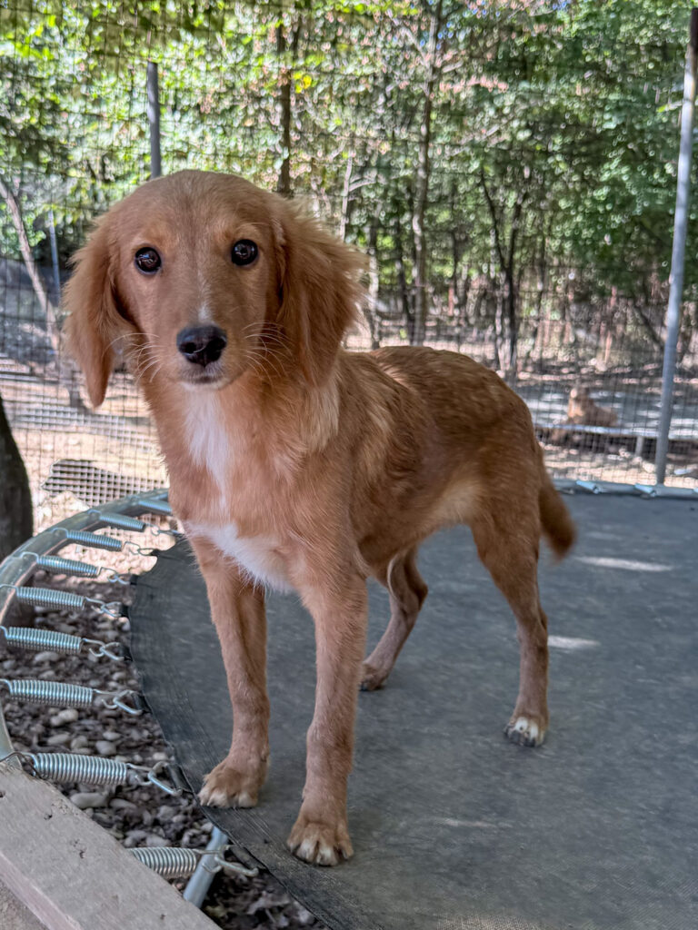 20251014-fotos-igor-2