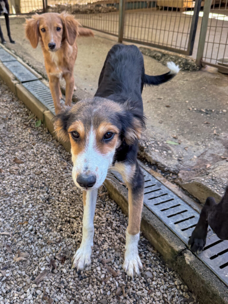 20251014-fotos-igor-3