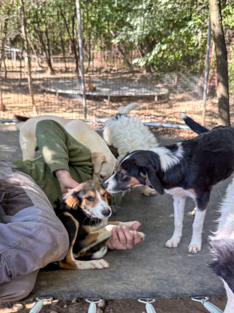 20251014-fotos-ilon-1