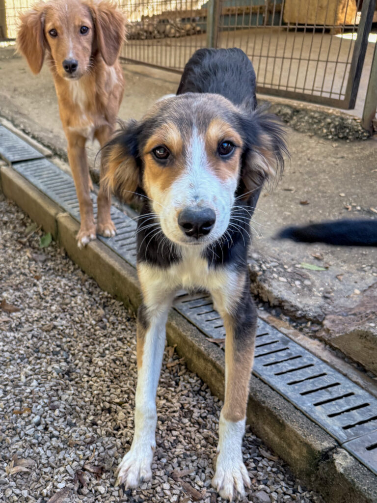 20251014-fotos-ilon-2