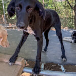 20251014-fotos-irma-1