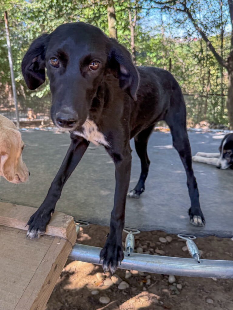 20251014-fotos-irma-1