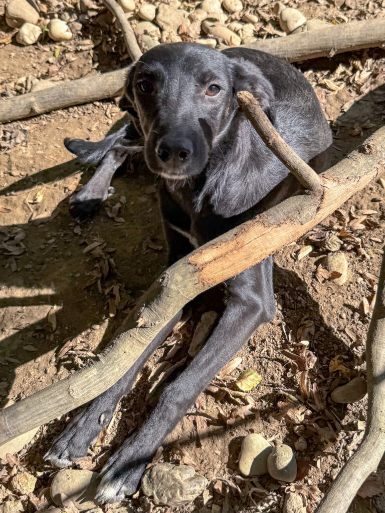 20251014-fotos-isidora-1