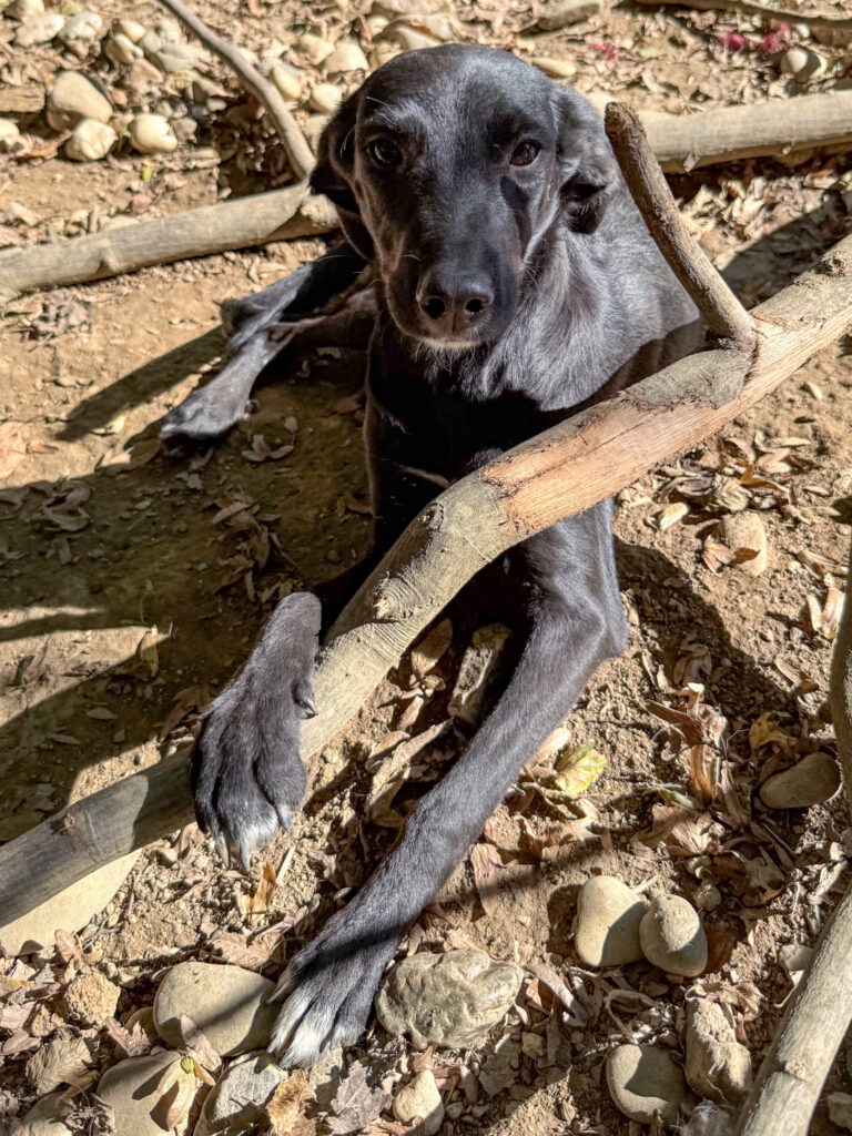 20251014-fotos-isidora-2