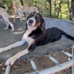 20251014-fotos-loara-1