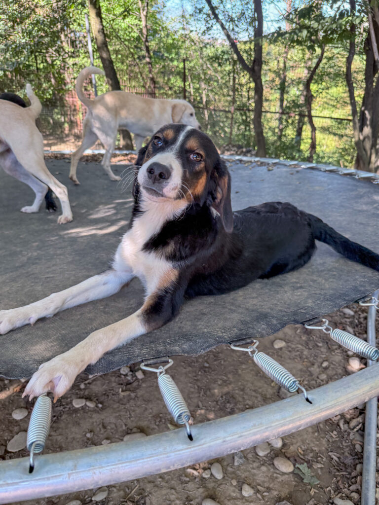 20251014-fotos-loara-1