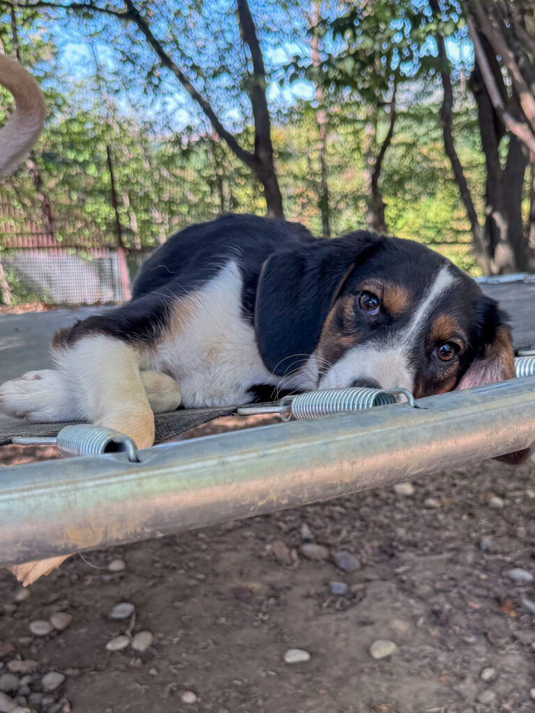 20251014-fotos-loara-2