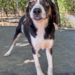 20251014-fotos-loara-3