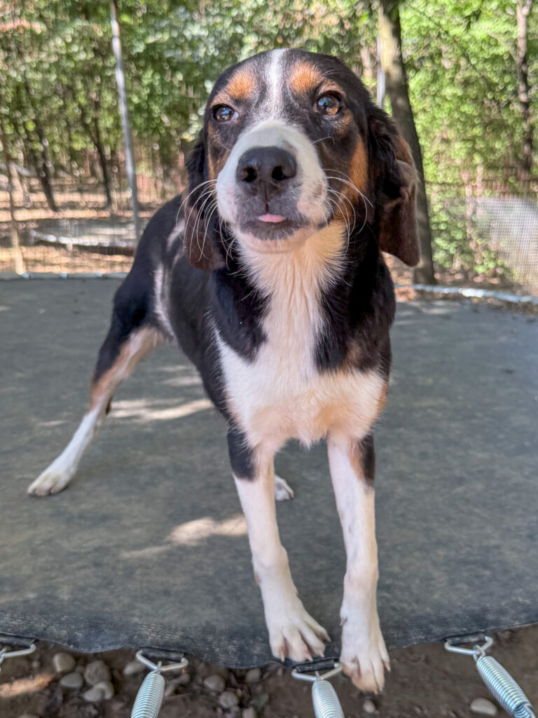 20251014-fotos-loara-3