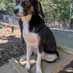 20251014-fotos-loara-4